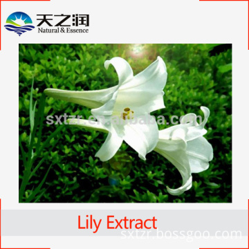 ISO Factory Supply Natural White Lily Bulb Extract Powder